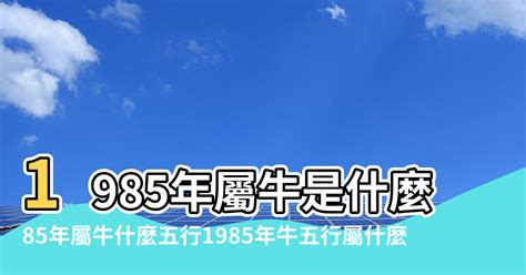 1985是什麼牛|1985年出生是什麼命？